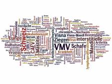Wortwolke aus einem Text über Maedi-Visna