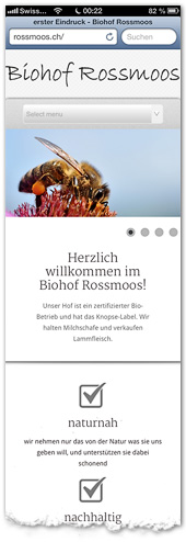 Screenshot vom Smartphone